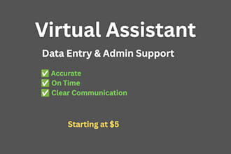 be your virtual assistant for data entry and admin tasks