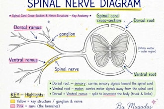 create handwritten biology notes with diagrams for matric and fsc students