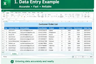 microsoft excel data entry