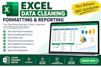 clean, organize, format, and prepare reports