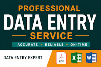 do excel data entry, copy paste and website data entry tasksc