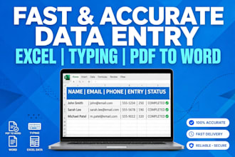 do data entry, typing, excel and assignment work