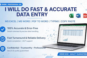 do data entry , typing , excel and assignment work