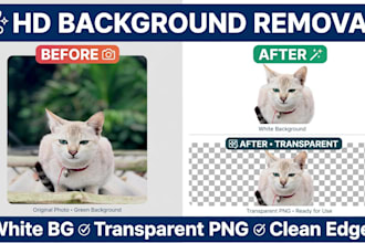 do professional photo editing HD and background removal
