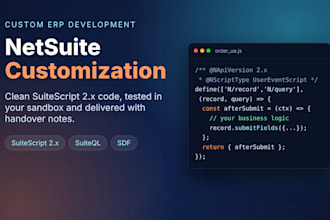 do netsuite customization with suitescript 2x suiteql and custom records