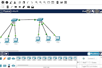 configure cisco vlans and troubleshoot networks