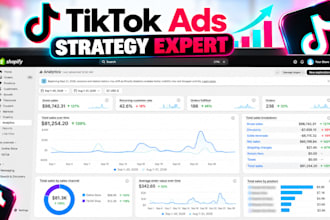 create and manage tiktok ads campaigns and strategy