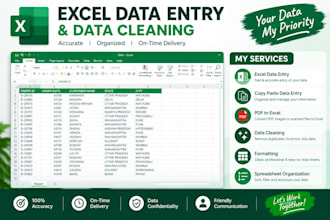 do accurate excel data entry, data cleaning and PDF to excel