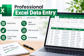 do accurate excel data , data cleaning and web search
