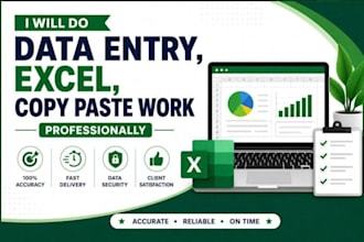 specialize in accurate data entry, microsoft excell