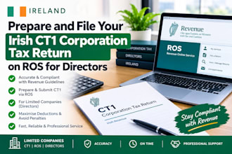 prepare and file your irish ct1 corporation tax return on ros for directors