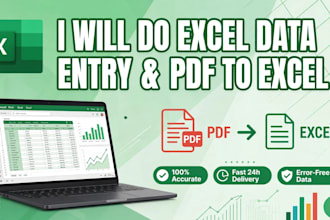do data entry excel work pdf to excel and typing work