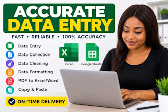 accurate data entry, data input and excel data entry