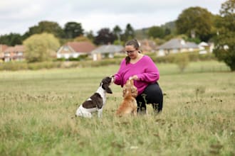 write an engaging, informative dog or pet blog post