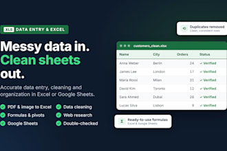 do professional data entry, excel spreadsheet and data organization