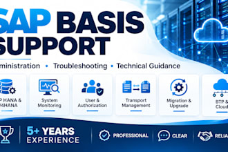 provide professional sap basis administration and support