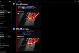 setup your discord server with roles bots and tickets