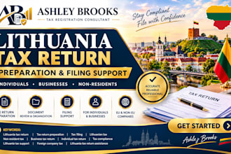 assist with lithuania tax return preparation and filing support