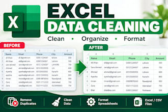clean, format and organize excel data and remove duplicates