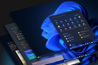 provide professional remote IT support for individuals and businesses