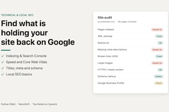 do a technical and local SEO audit and fix your website issues
