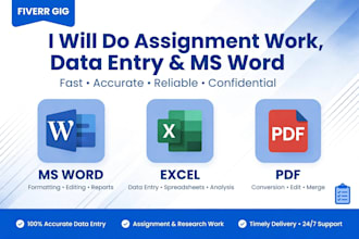 do assignment work, data entry and ms work