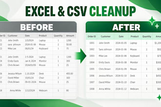 clean and format your excel or CSV data