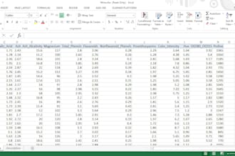 do professional microsoft excel data entry, formatting and spreadsheet tasks