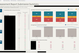 build a professional tableau KPI dashboard and business report