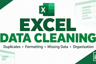 clean , format and organize the excel data