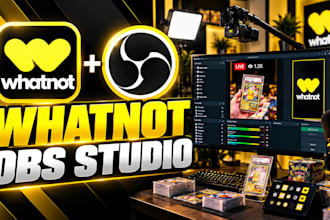 setup a professional whatnot livestream with obs studio