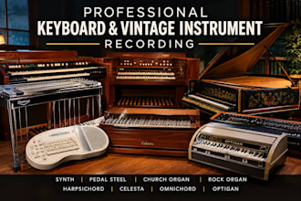 record synth pedal steel church rock organ harpsichord celesta omnichord optigan