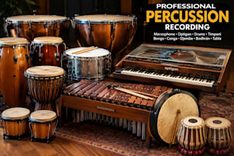 record marxophone optigan marching snare timpani bongo conga djembe bodhrán