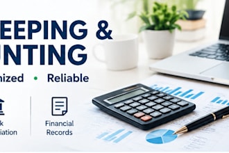 provide professional bookkeeping and accounting services