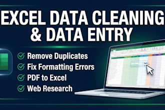 do excel data cleaning, formatting, and deduplication
