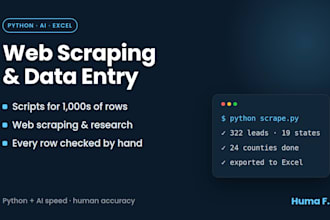do web scraping and ai data entry to excel