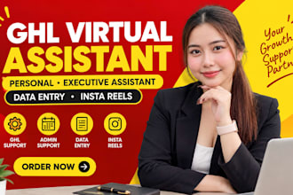 ghl virtual assistant personal executive assistant data entry insta reels