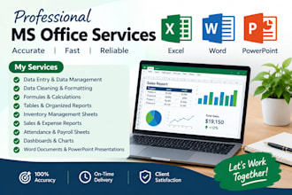 do professional ms excel ms word and powerpoint presentation work