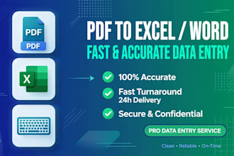 do data typing copy paste and excel data entry