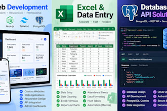 do web development excel data entry and database work