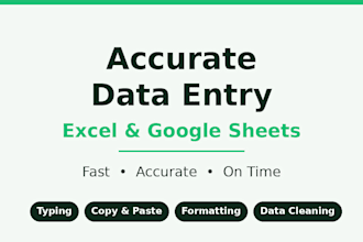 ido accurate data entry and excel spreadsheet work