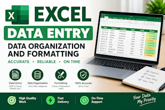 do accurate data entry in microsoft excel