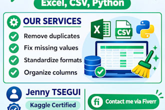 clean and organize your excel or CSV data professionally