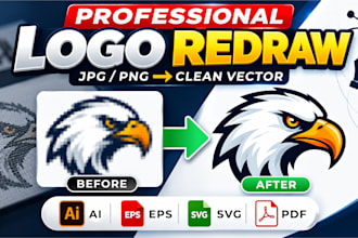 redraw, recreate and vectorize your logo professionally
