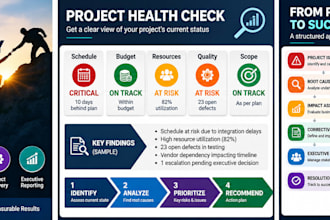 help you bring structure to challenging projects, identify and resolve crisis