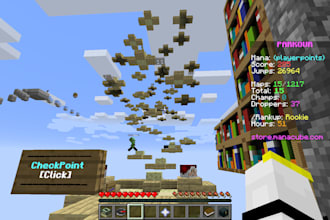 set up minecraft server, vps, dns, backups, ddos, smp, minecraft developer