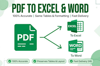 convert pdf to excel or word image to excel accurately in 1 hour