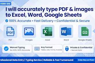 do accurate data entry, copy paste, and excel work in 24 hours
