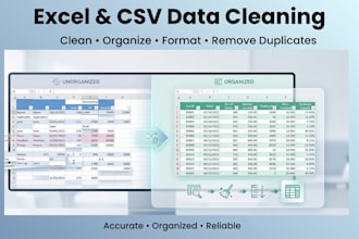 clean and format your excel or CSV data