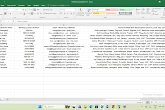 do professional copy paste work and web research in excel